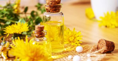 Küçük bir şişede Celandine karahindiba özü, tedavi, ilaç, tentür. Seçici odaklanma. Doğa