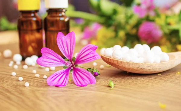 Medicinal Herbs Oils Small Bottles Homeopathy Selective Focus Nature — Stock Photo, Image