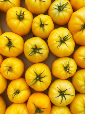 Çiftçi pazarında kutularda kırmızı ve sarı domatesler. Seçici odaklanma. Doğa