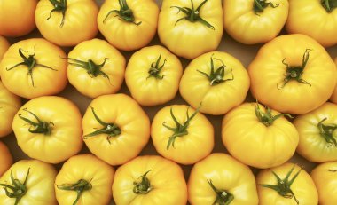 Çiftçi pazarında kutularda kırmızı ve sarı domatesler. Seçici odaklanma. Doğa