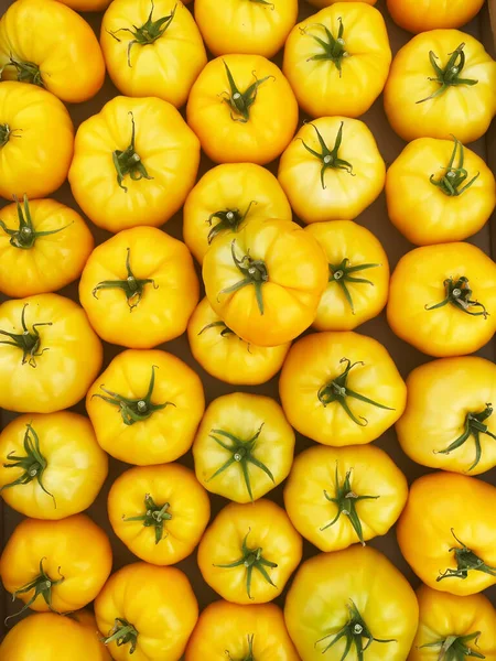 Tomates Vermelhos Amarelos Caixas Market Selective Fazendeiros Focus Nature — Fotografia de Stock