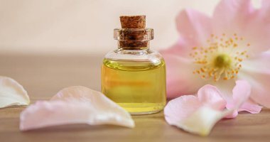 Rosehip özütü şişelerde. Homeopati. Seçici odaklanma doğası