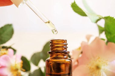 Rosehip özütü şişelerde. Homeopati. Seçici odaklanma doğası