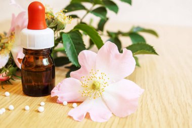 Rosehip özütü şişelerde. Homeopati. Seçici odaklanma doğası