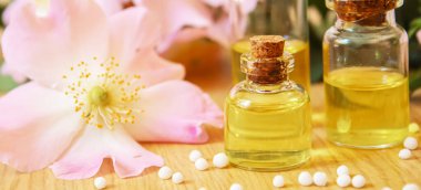 Rosehip özütü şişelerde. Homeopati. Seçici odaklanma doğası