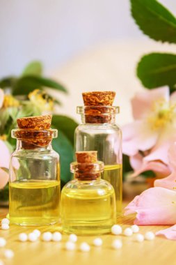 Rosehip özütü şişelerde. Homeopati. Seçici odaklanma doğası