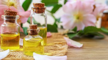 Rosehip özütü şişelerde. Homeopati. Seçici odaklanma doğası