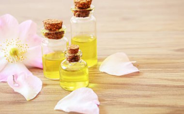 Rosehip özütü şişelerde. Homeopati. Seçici odaklanma doğası