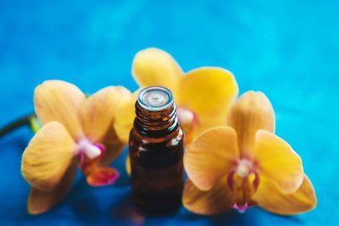 Çiçekler ve bitkiler küçük şişelerde. Seçici odaklanma. Doğa.