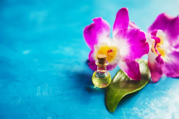 Flowers and plant extracts in small bottles. Selective focus.nature