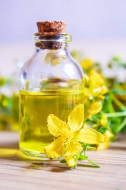 St. John otunu küçük bir kavanozda çıkar. Seçici odaklanma. Doğa.