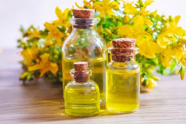 St. John otunu küçük bir kavanozda çıkar. Seçici odaklanma. Doğa.