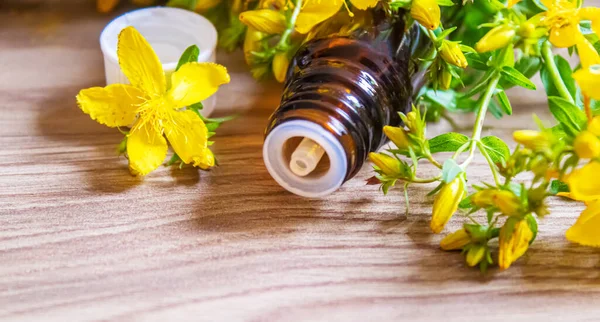 Johanniskraut Einem Kleinen Glas Extrahieren Selektiver Fokus — Stockfoto