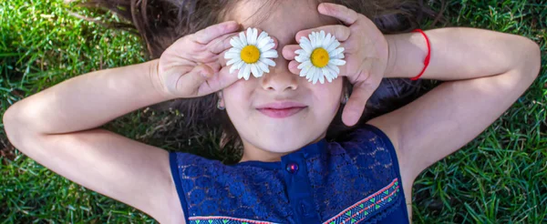 Mädchen Hält Kamillenblüten Den Händen Selektiver Fokus Natur — Stockfoto