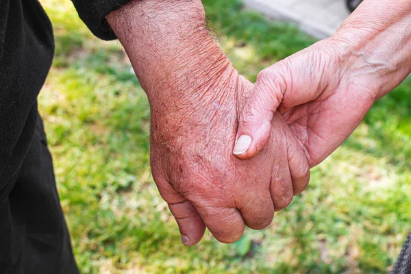 Een Oude Man Die Handen Van Een Kind Vasthoudt Selectieve — Stockfoto