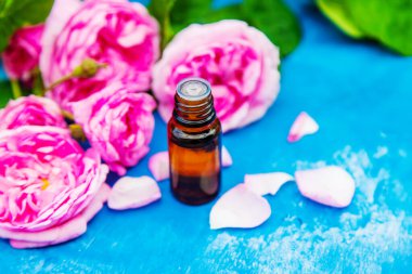 Küçük bir şişede çay gülü yağı. Seçici odaklanma. Doğa