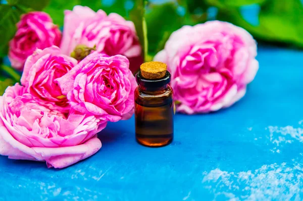 Küçük bir şişede çay gülü yağı. Seçici odaklanma. Doğa