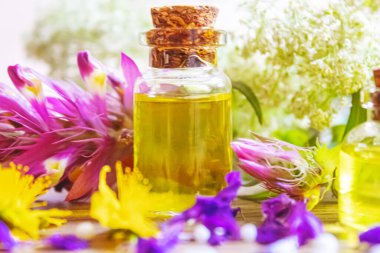 Şifalı bitkiler, küçük şişelerdeki yağlar homeopati. seçici odak.