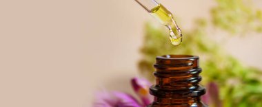 Şifalı bitkiler, küçük şişelerdeki yağlar homeopati. seçici odak.