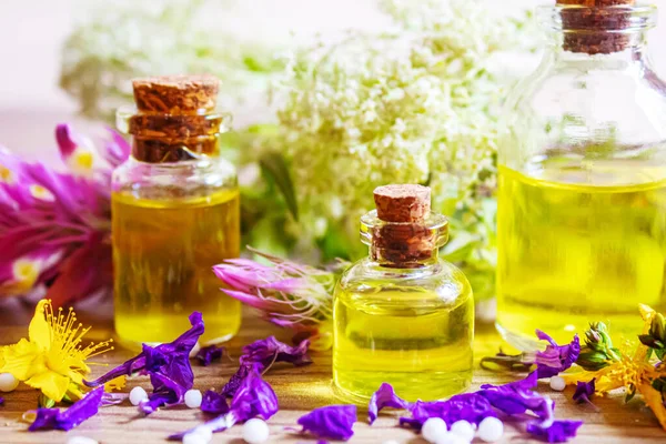 Medicinal herbs, oils in small bottles homeopathy. selective focus. — Stock Photo, Image