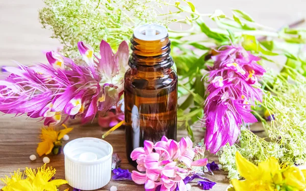 Léčivé byliny, oleje v malých lahvičkách homeopatie. selektivní zaměření. — Stock fotografie