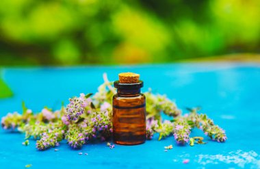 Thyme essential oil in a small bottle. selective focus .nature