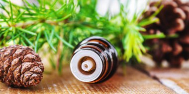 Küçük şişelerde firavun ağacı yağı. Seçici odaklanma. Doğa.