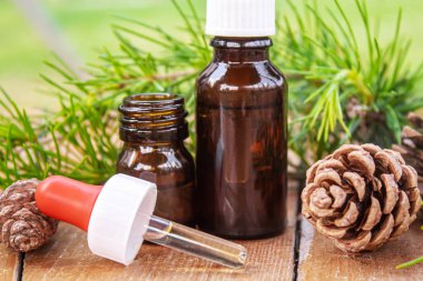 Küçük şişelerde firavun ağacı yağı. Seçici odaklanma. Doğa.