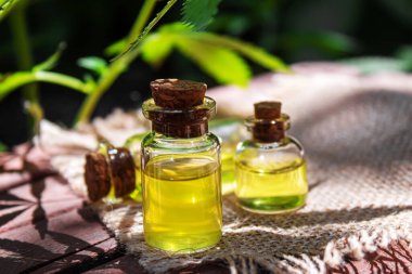 Esrar küçük bir şişede gerekli yağı çıkartır. Seçici odak.