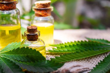 Esrar küçük bir şişede gerekli yağı çıkartır. Seçici odak.