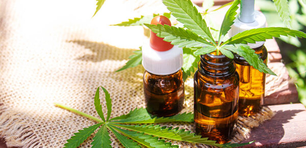 Cannabis extract essential oil in a small bottle. Selective focus.