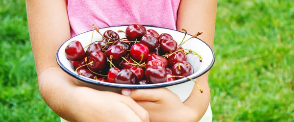 Die Großeltern Füttern Das Kind Mit Kirschen — Stockfoto