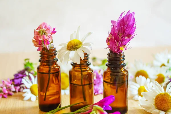 Medicinale Kruiden Flessen Kamilleolie Extract Selectieve Focus Natuur — Stockfoto