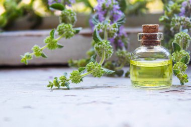 Thyme essential oil in a small bottle. selective focus .nature