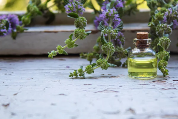 Thyme essential oil in a small bottle. selective focus .nature