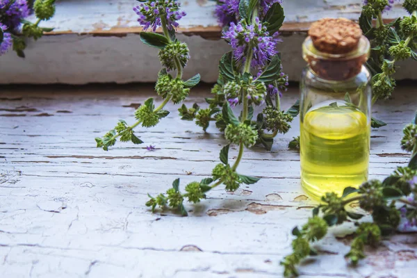 Thyme Essential Oil Small Bottle Selective Focus Nature — Stock Photo, Image