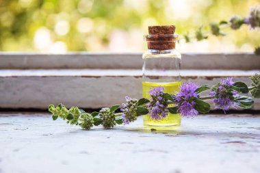 Thyme essential oil in a small bottle. selective focus .nature