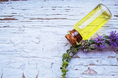 Thyme essential oil in a small bottle. selective focus .nature