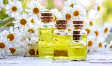 Şişedeki şifalı bitkiler. Papatya yağı özü. Seçici odaklanma. Doğa.