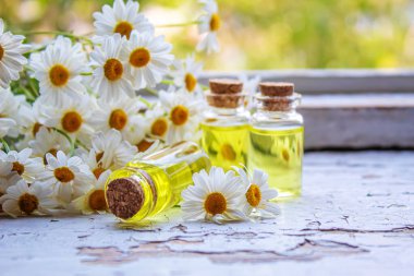 Şişedeki şifalı bitkiler. Papatya yağı özü. Seçici odaklanma. Doğa.