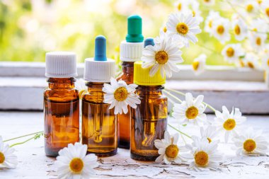 Şişedeki şifalı bitkiler. Papatya yağı özü. Seçici odaklanma. Doğa.