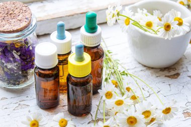 Şişedeki şifalı bitkiler. Papatya yağı özü. Seçici odaklanma. Doğa.