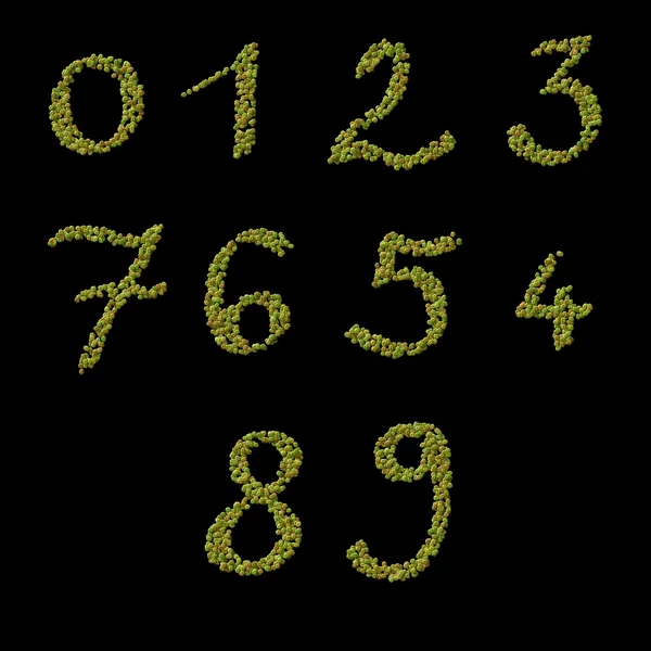 Numbers of raw green coffee beans template — Stock Photo, Image