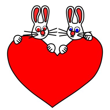 Bir çift beyaz tavşan memnun