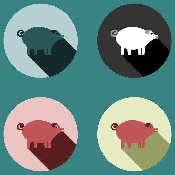 Cerdo con sombra larga - cuatro variaciones de color — Vector de stock