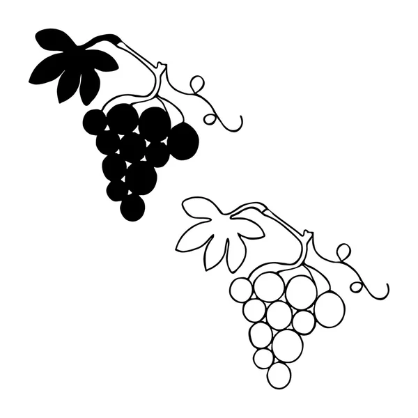 Bunch of grapes with leaf in two variation — Stock Vector