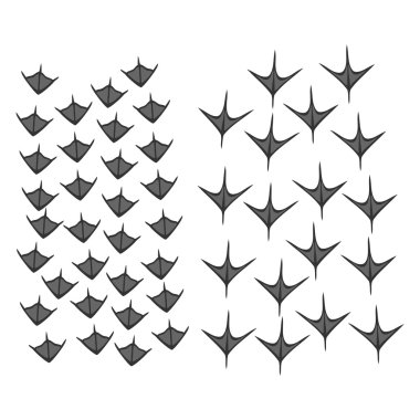 Ördek ve kaz ayak izi basit şekiller