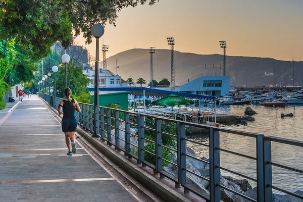 Morgonen och kör. Montenegro, herceg novi, i augusti 2014. — Stockfoto