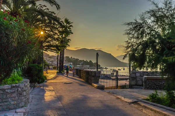 sabah ve koşma. Karadağ, herceg novi, Ağustos 2014 yılında.