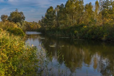 Ukrayna doğası. Ekim 2014
